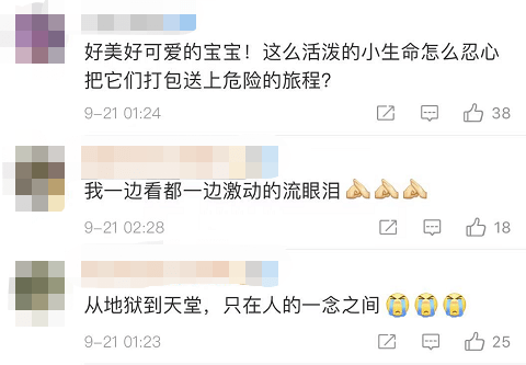 上海一小区惊现“滴血的盲盒”，许多小宠物在里面哀嚎不止……