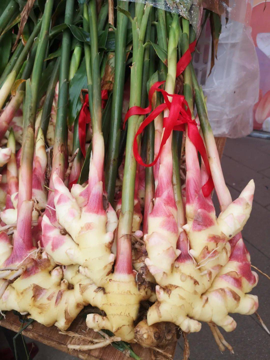 你是否见过秋分时节莱芜的生姜它长啥样