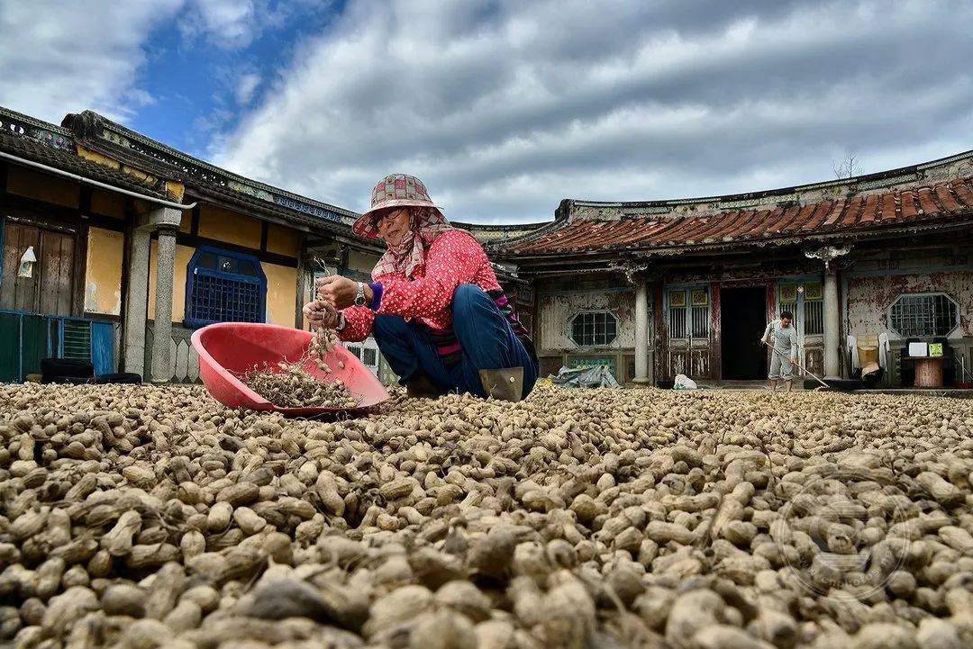 国际|获奖公布丨2021第十届台中国际摄影艺术展作品（台湾专题组）