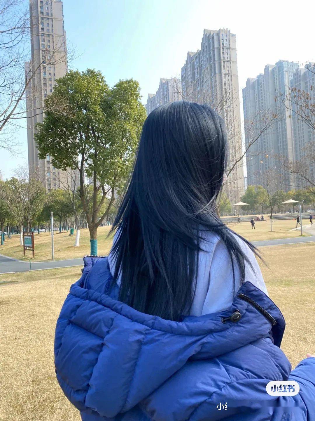 cr小红书如图蓝黑色是可以不用漂直接上色的但原生头发太黑可能就