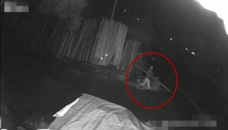 深夜，视频拍下这一幕！