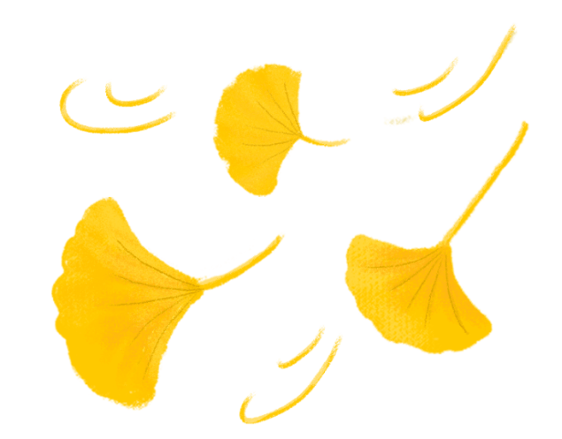 【新生课程】微风徐来,一叶知秋_树叶