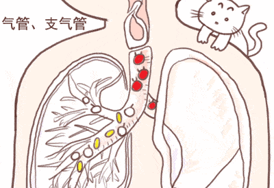 e01edd78b7a94f3ebd000f5e4fa32077.gif