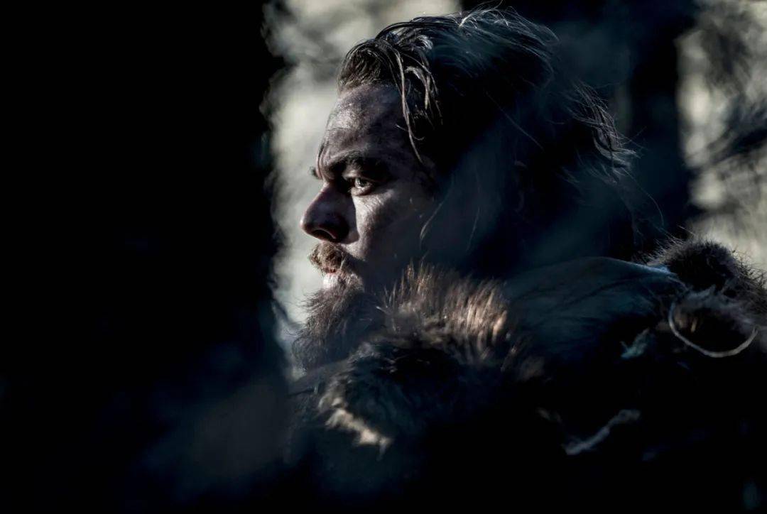 电影|10部丛林冒险电影，全程无尿点！