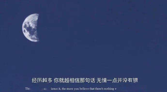 经历越多 你就越相信那句话 无情一点并没有错