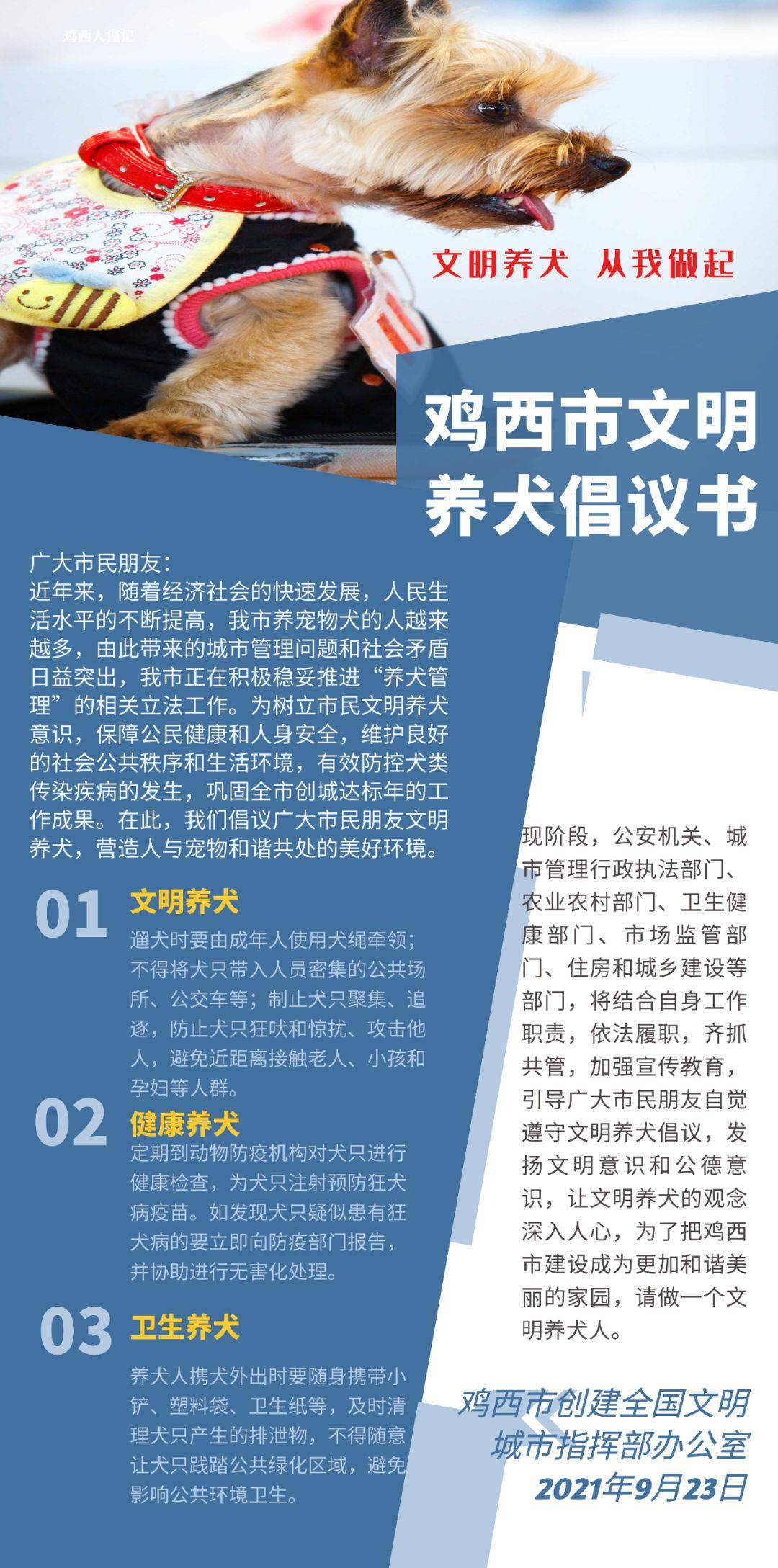 鸡西人口2021总人数_2021黑龙省下半年省考鸡西报考人数竞争情况分析(2)