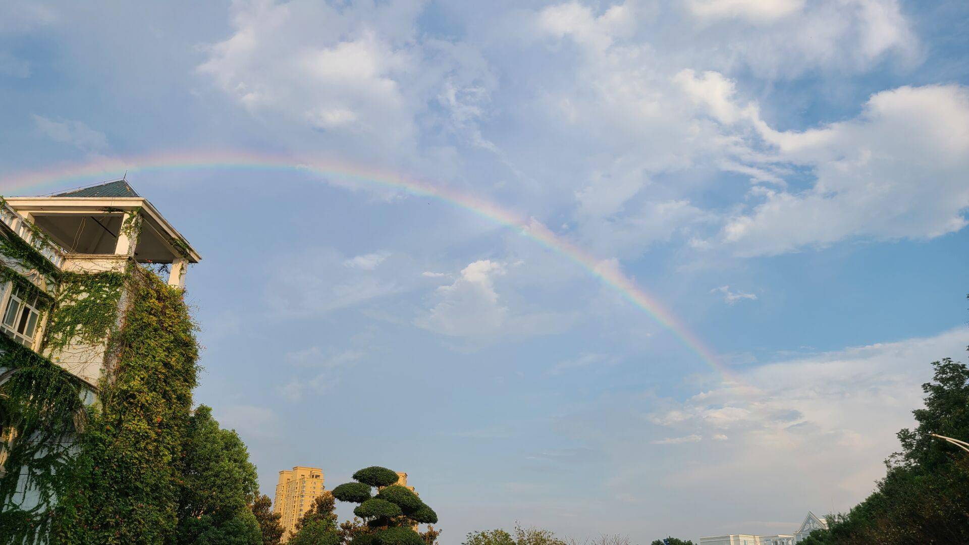 武汉一大学校园上空现美丽彩虹组图欣赏