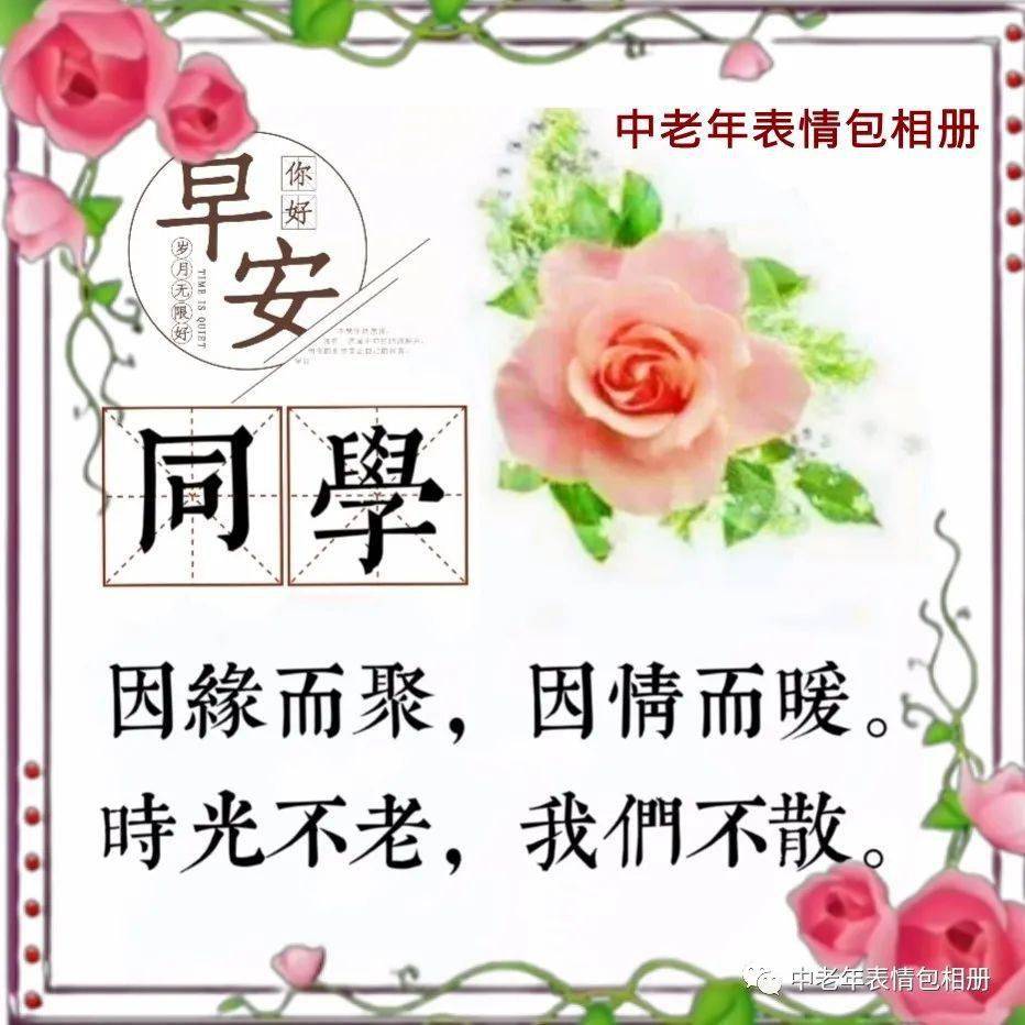 早上好表情包大全亲爱的老同学时光不老我们不散