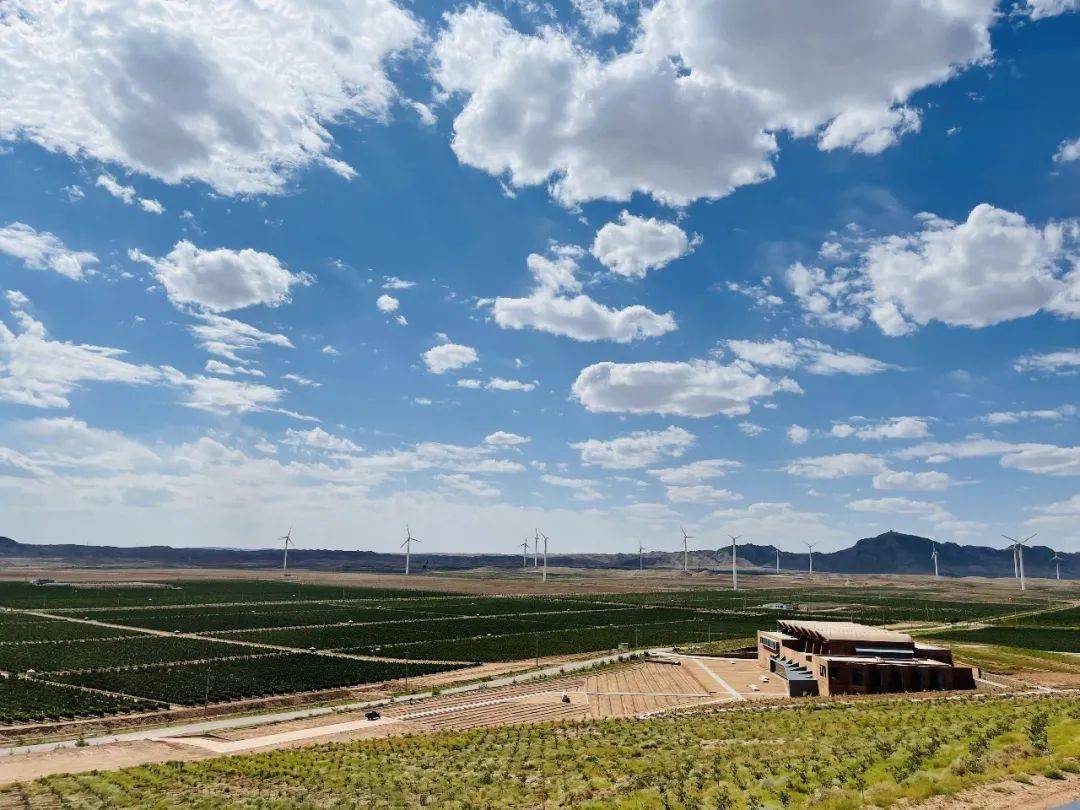 葡萄|慢沽佳酿醉成诗——贺兰山东麓葡萄酒产区成长之路