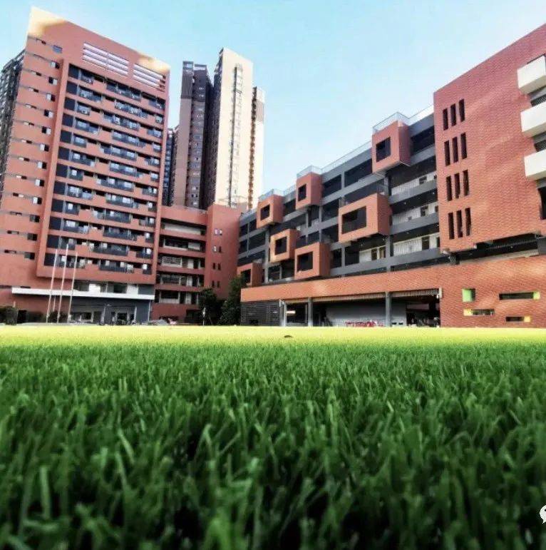 深圳又添新学校！今年已有60所新改扩建学校9月开学！_福田区