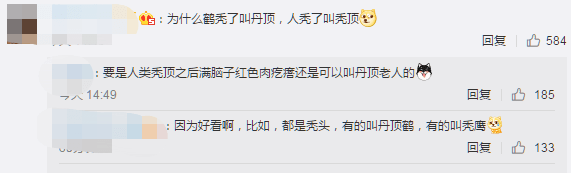 显示丹顶鹤的丹顶是因为脱发造成的？网友：原来脱发也可以很好看