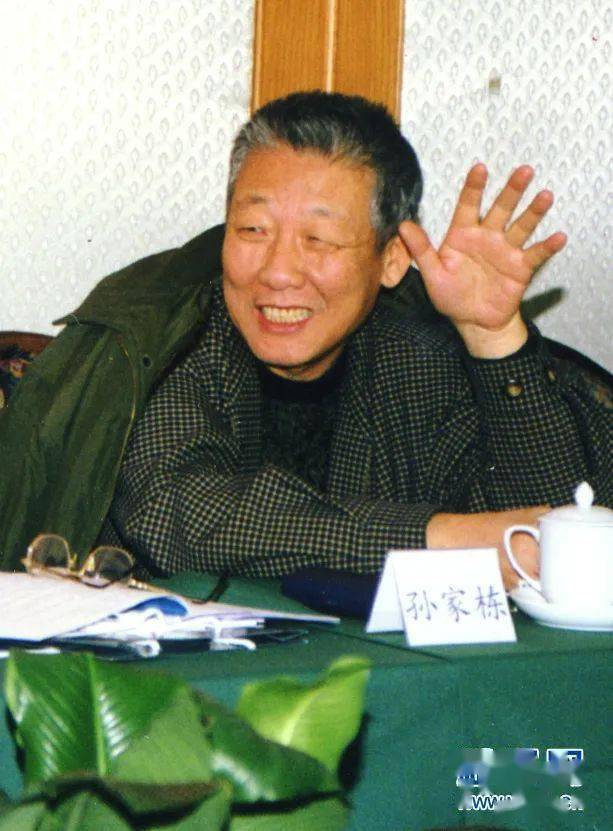 科学家来了一辈子与卫星打交道的航天大总师孙家栋