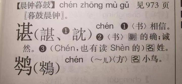 语大字典》第二版在原来的基础上增加了一个读音“shèn”,释作“姓”。
