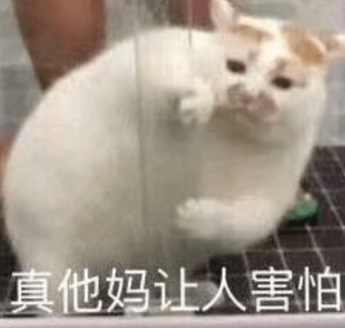 江南布衣的阴间童装设计，引发众怒！成年人看了都惊悚！