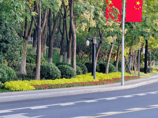 钱塘中心周边道路焕发新颜啦~_绿化