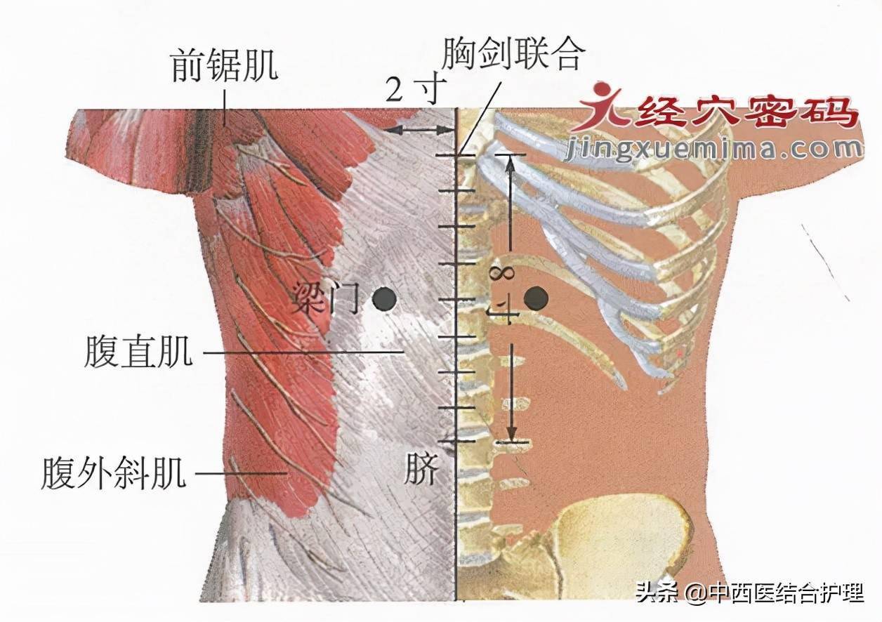 「穴位养生」常有胃痛呕吐的人看过来,一个穴位帮你解危难_进行