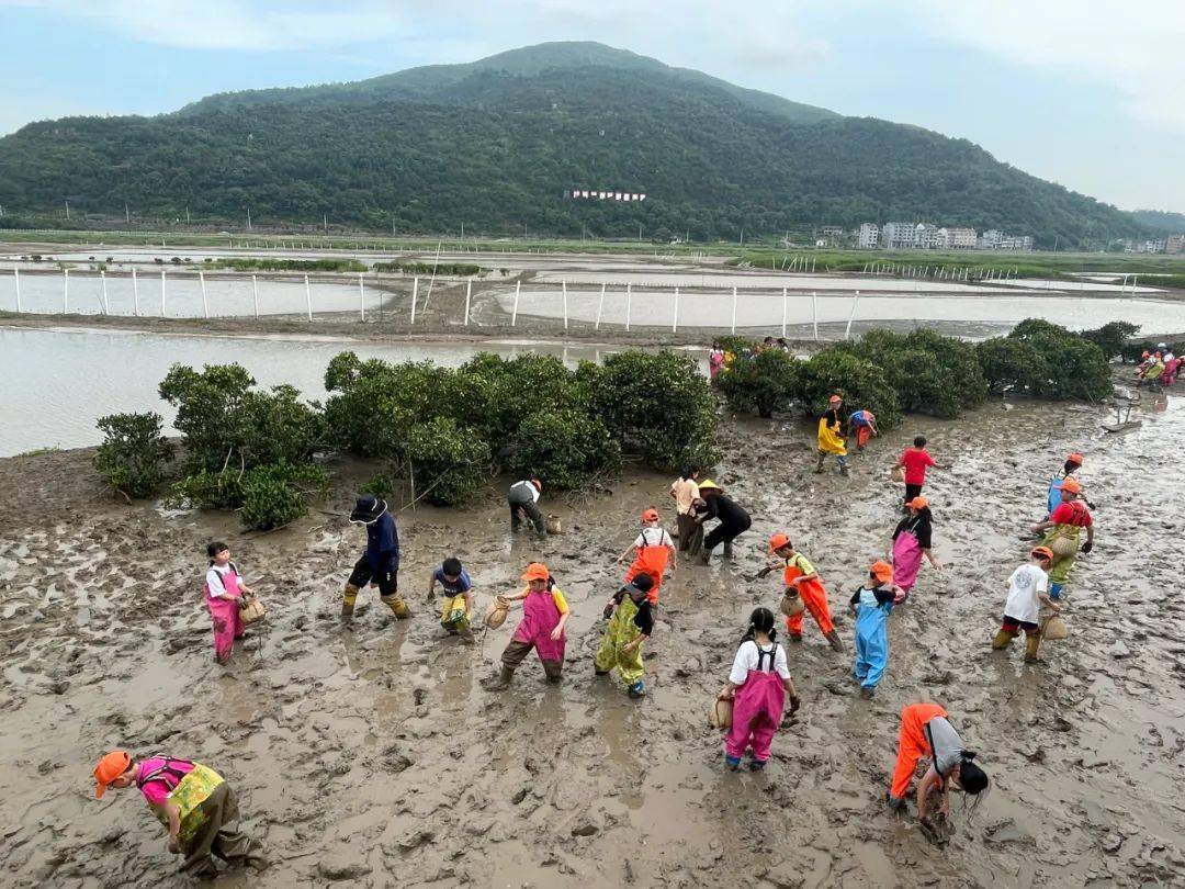 串起山与海,唱响山海经!乐清这个地方把乡村振兴这盘棋下活了