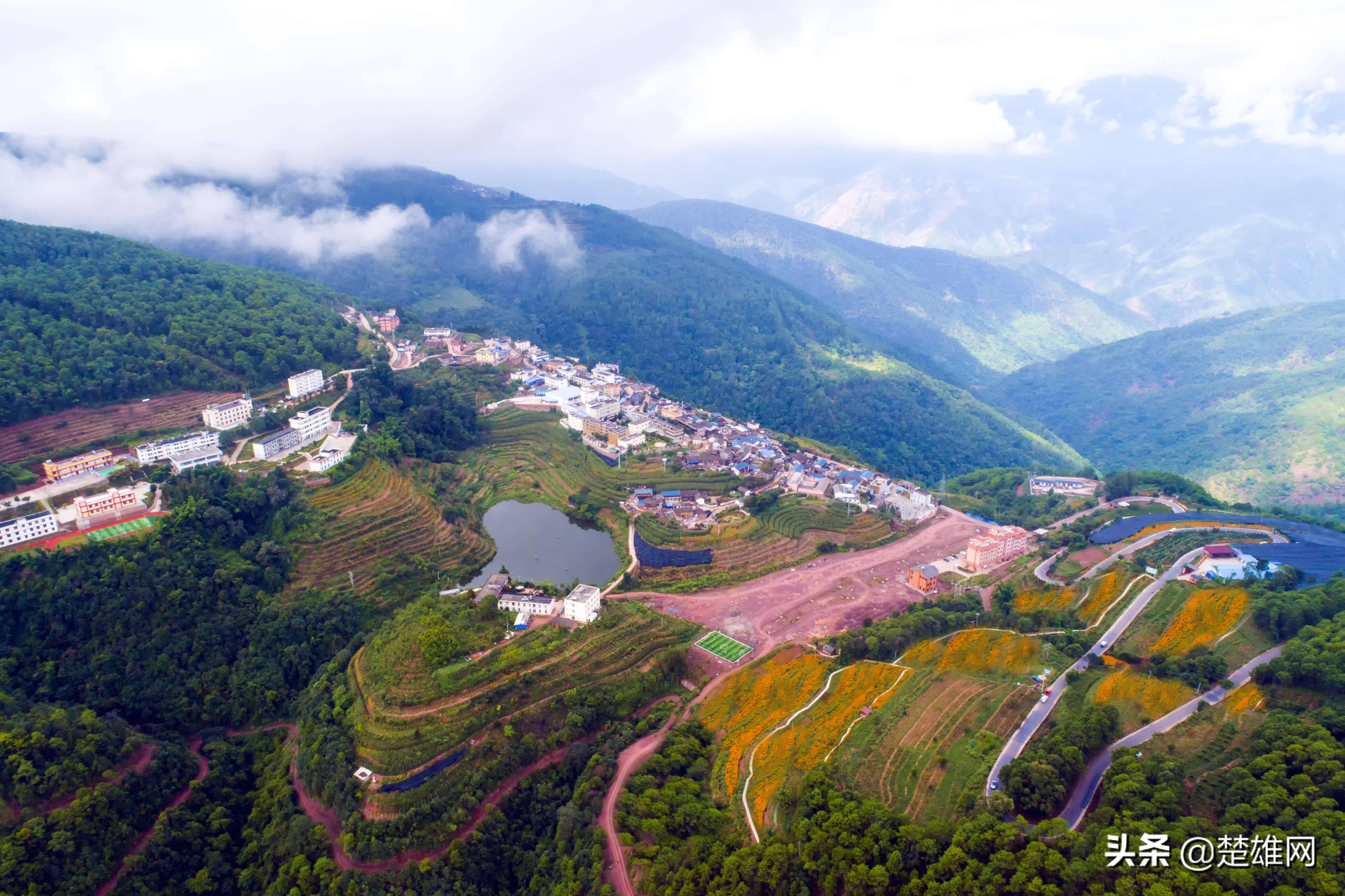 双柏县风景图片