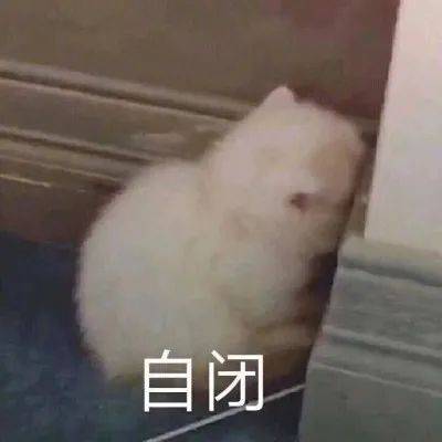 黑发|女子花四万治白发，美容院手法简单粗暴：拔光就行了？！