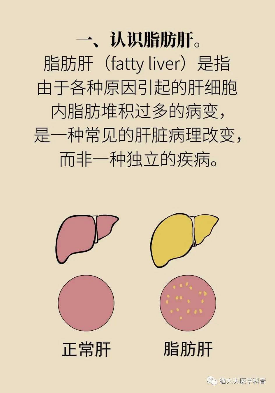 营养|得了脂肪肝不用吃药，做好这件事就行