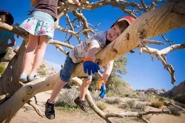 因为|每次送娃上学感觉自己像个人贩子？上学就哭的娃可以不上幼儿园吗？