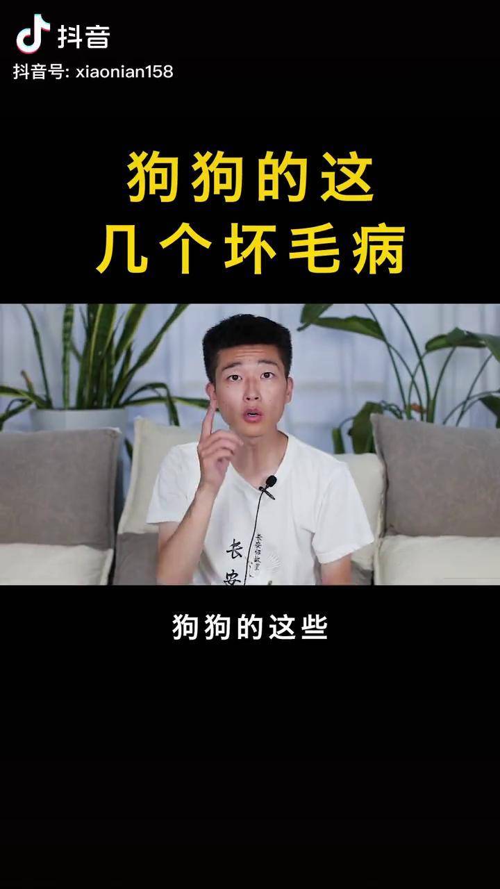 狗狗有这些毛病千万不能惯着你家狗狗有这些毛病吗养宠进阶指南