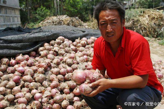 有关|尿蛋白高的原因是什么？或许和6个因素有关，早点知道早受益