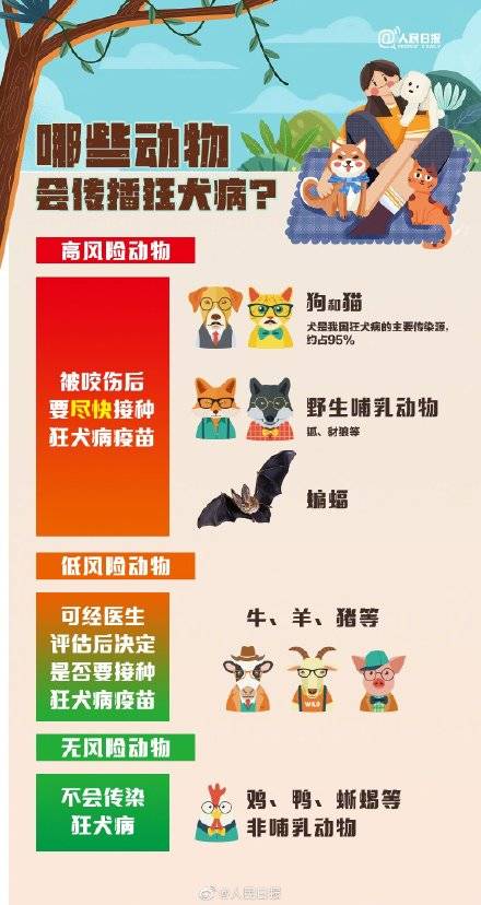 疫苗|狂犬病病死率几乎100%！关于狂犬病，这些你要知道