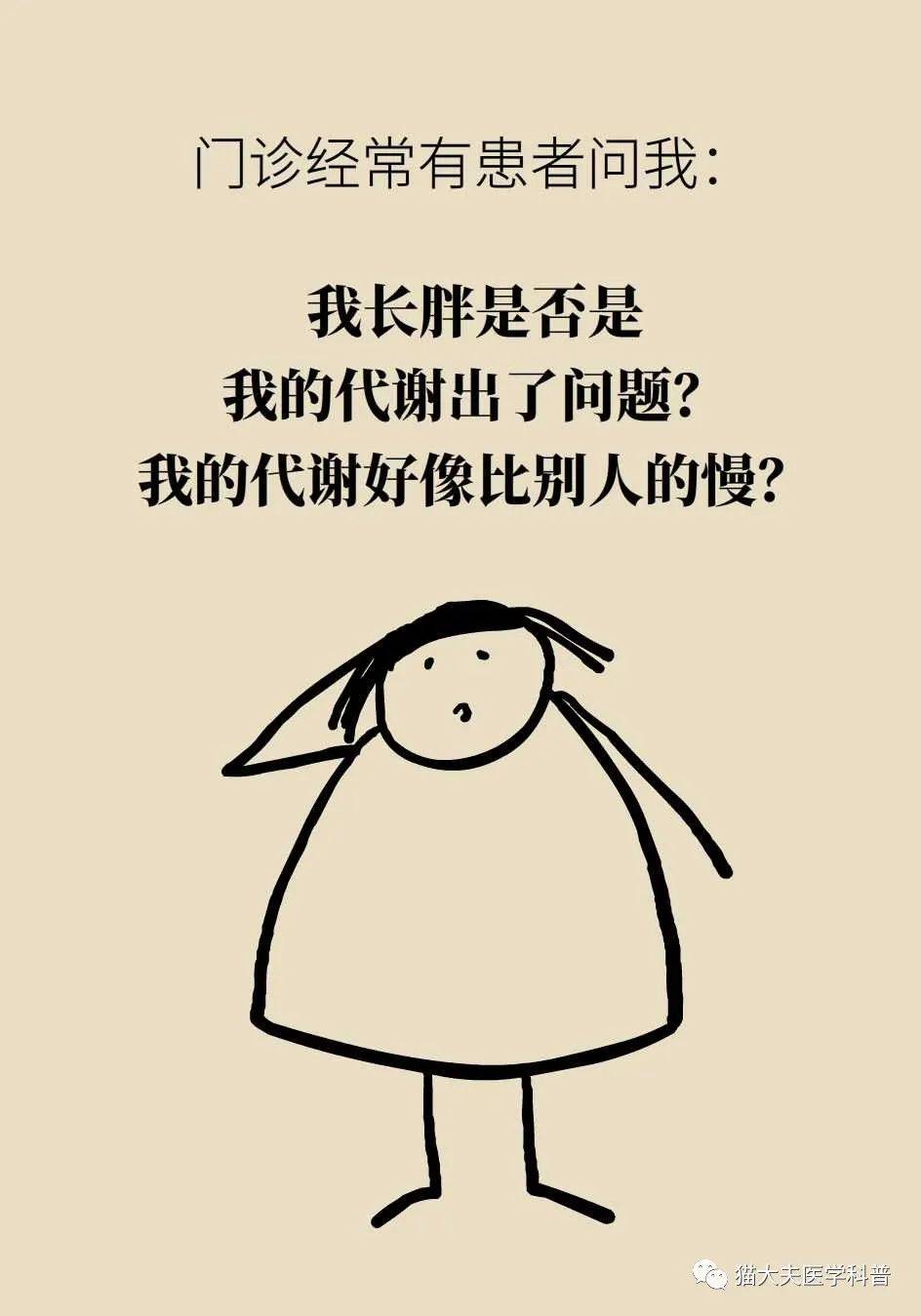 代谢|长胖是因为代谢变慢了？代谢表示不背这个锅