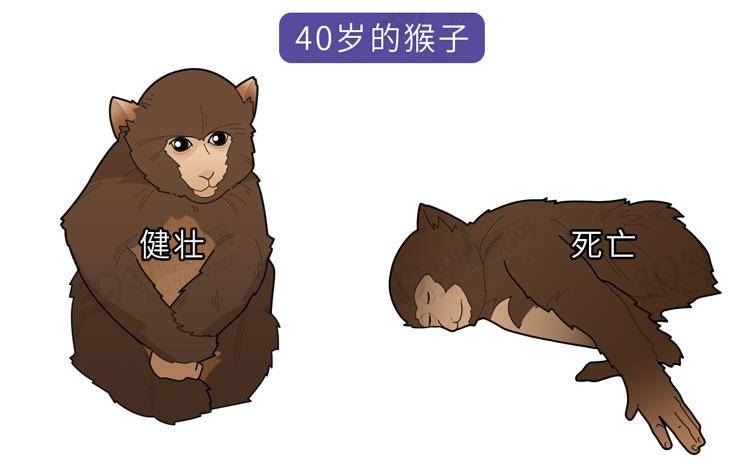 Madden|不想年轻时暴毙，就看看这篇长寿密码