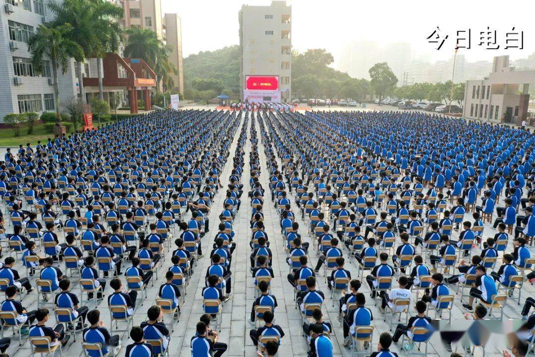 电白区实验中学2011图片