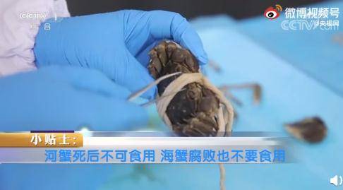 网友|死蟹到底能不能吃？别吃错了！