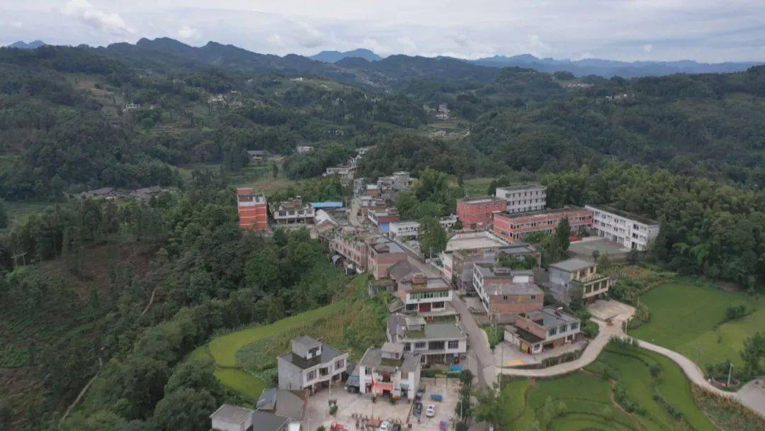 (来源:筠连发布) 在"全域春风"行动中,沐爱镇金銮村以肉牛养殖为抓手