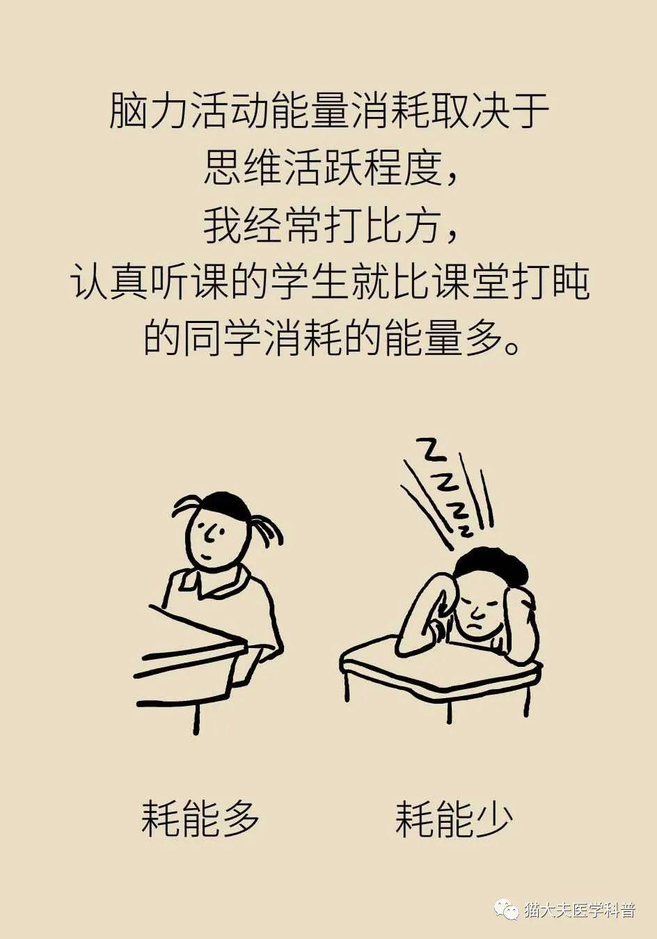 代谢|长胖是因为代谢变慢了？代谢表示不背这个锅