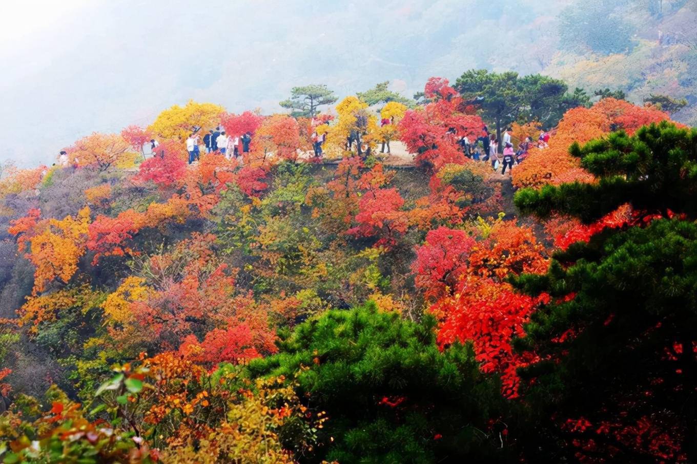 北京秋季红叶最佳景点图片