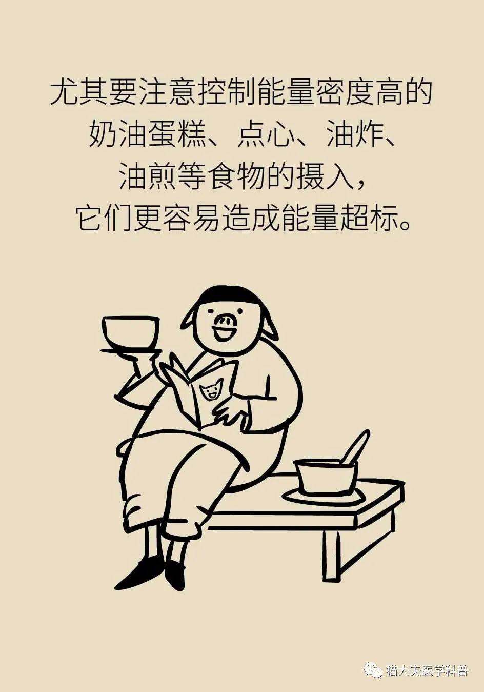 代谢|长胖是因为代谢变慢了？代谢表示不背这个锅