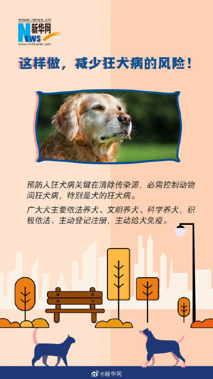 死亡|这些狂犬病常识你一定要了解