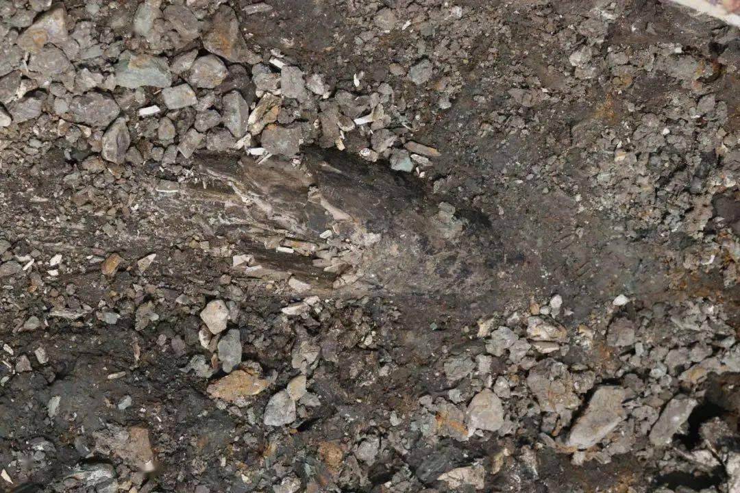 沂水跋山重大发现全是远古时代的宝贝传疯了