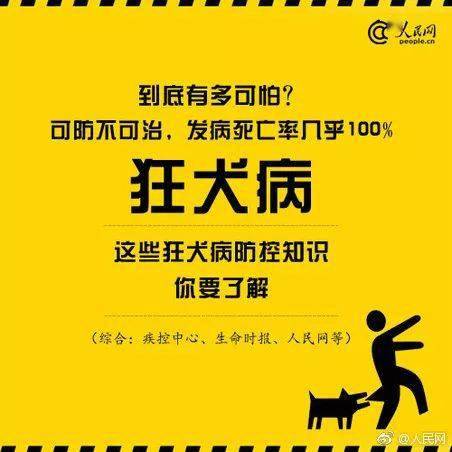 世界狂犬病日可防不可治关于狂犬病你了解多少