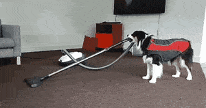 漂亮|每日一笑,?像不像和老婆吵架的你?