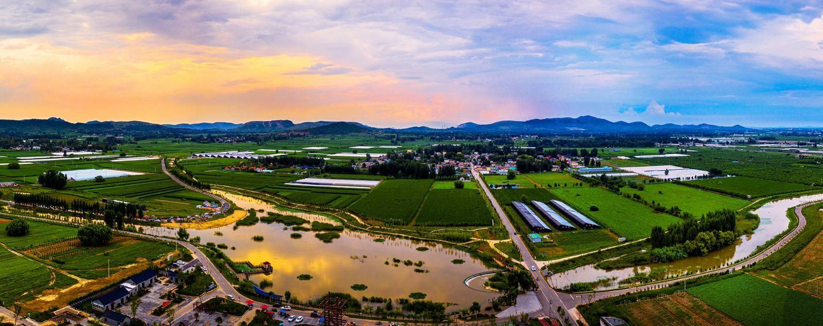 薛城乡村振兴的"四部曲":特色产业开富民良方_沙沟镇