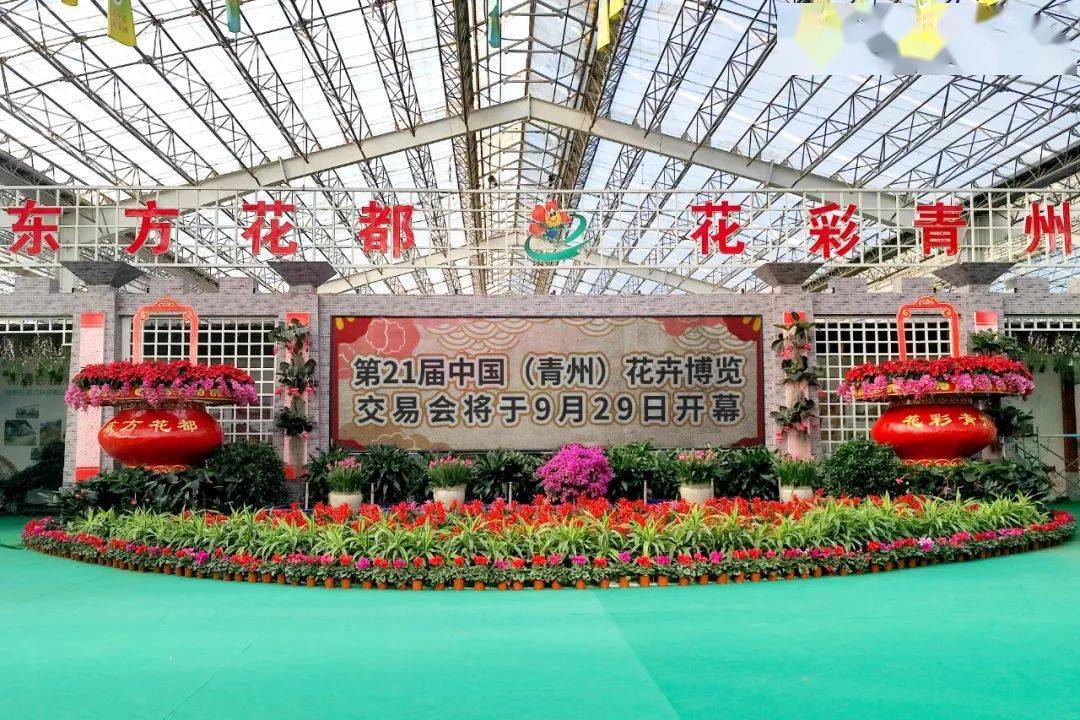 青州花卉批发市场(青州花卉批发市场哪个好)