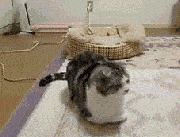 鉴定|最新长寿秘诀公布，第一名竟是喝酒？