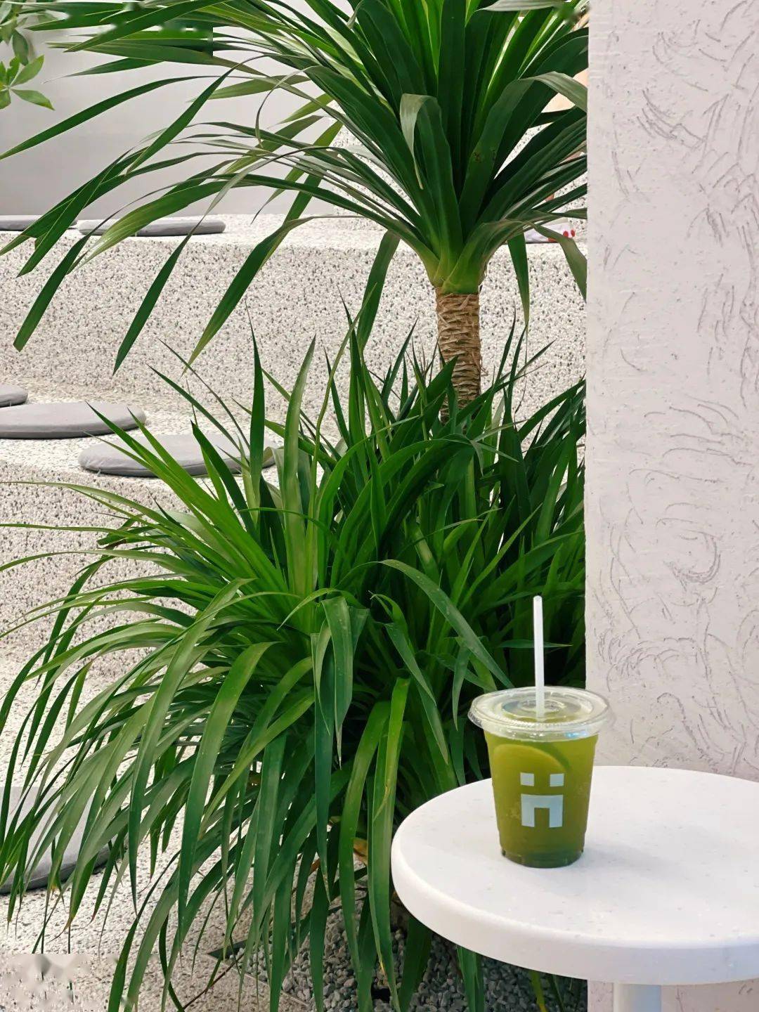 在上海这五家咖啡馆"环游世界"|秋日长假穿搭灵感