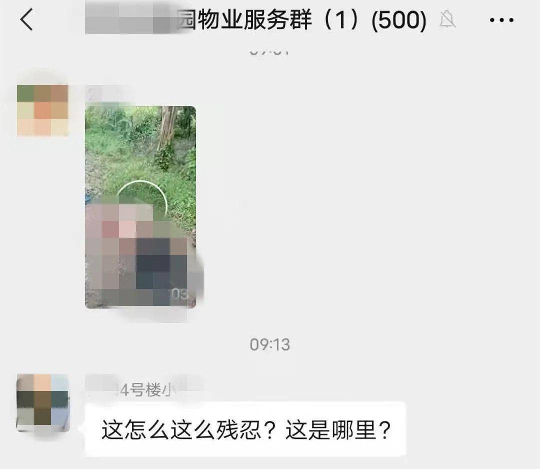 莒南:警方查处一起传播暴恐音视频案