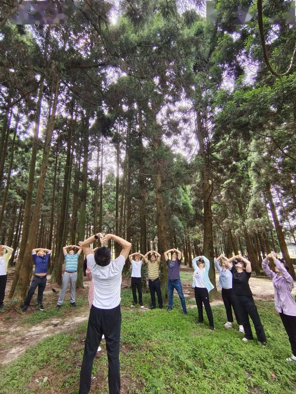 回顾丨全国第六届森林疗养师面授培训华南区圆满结束开启大容山森疗新