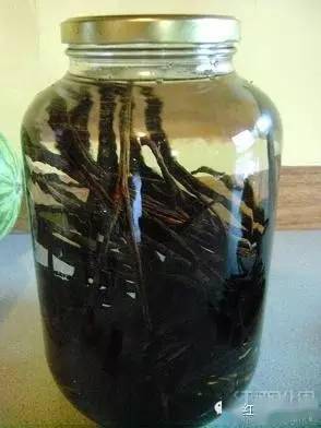开瓶器|那些与酒有关的炫酷技能
