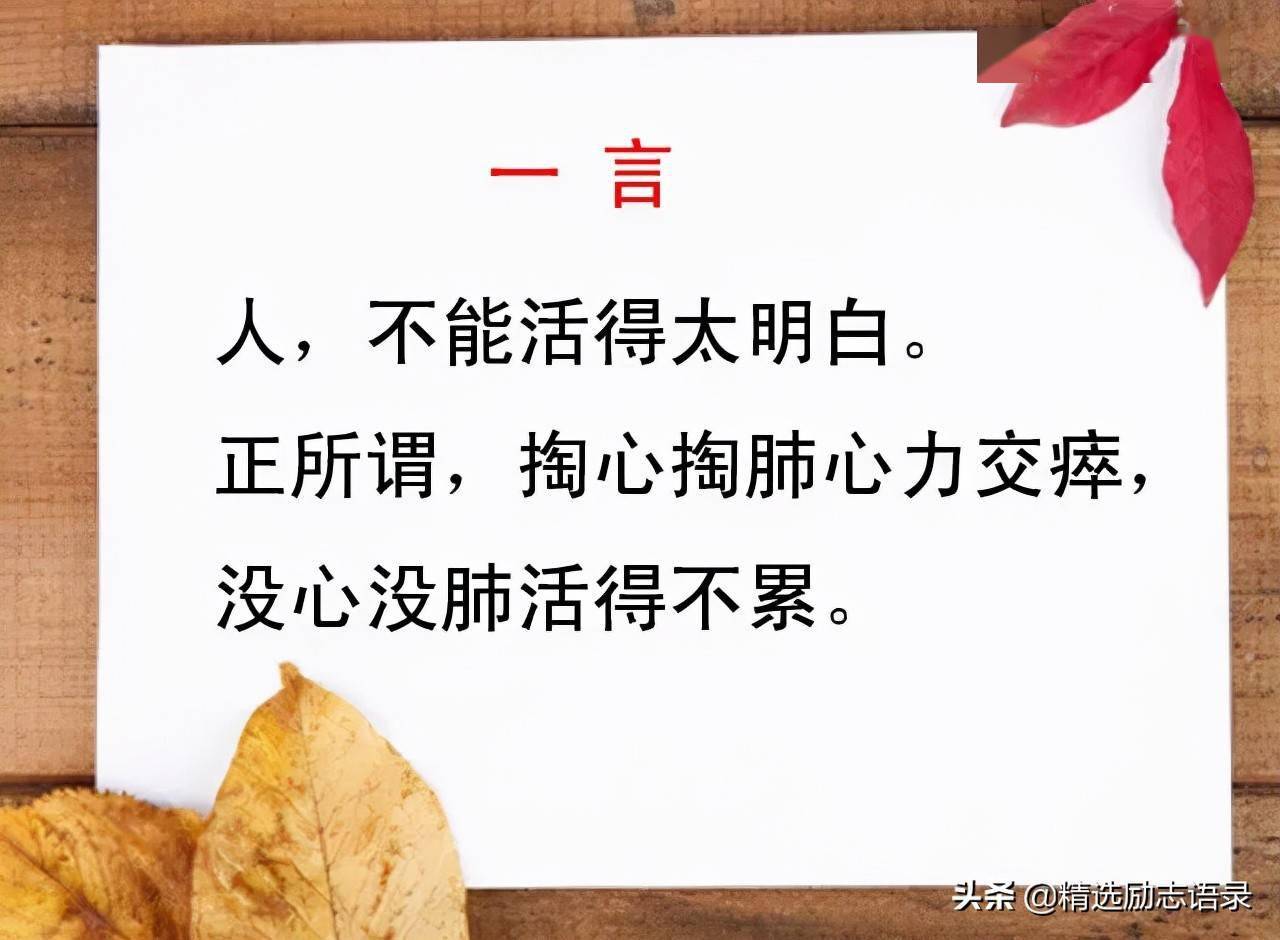 短短十言,就把人生说透了