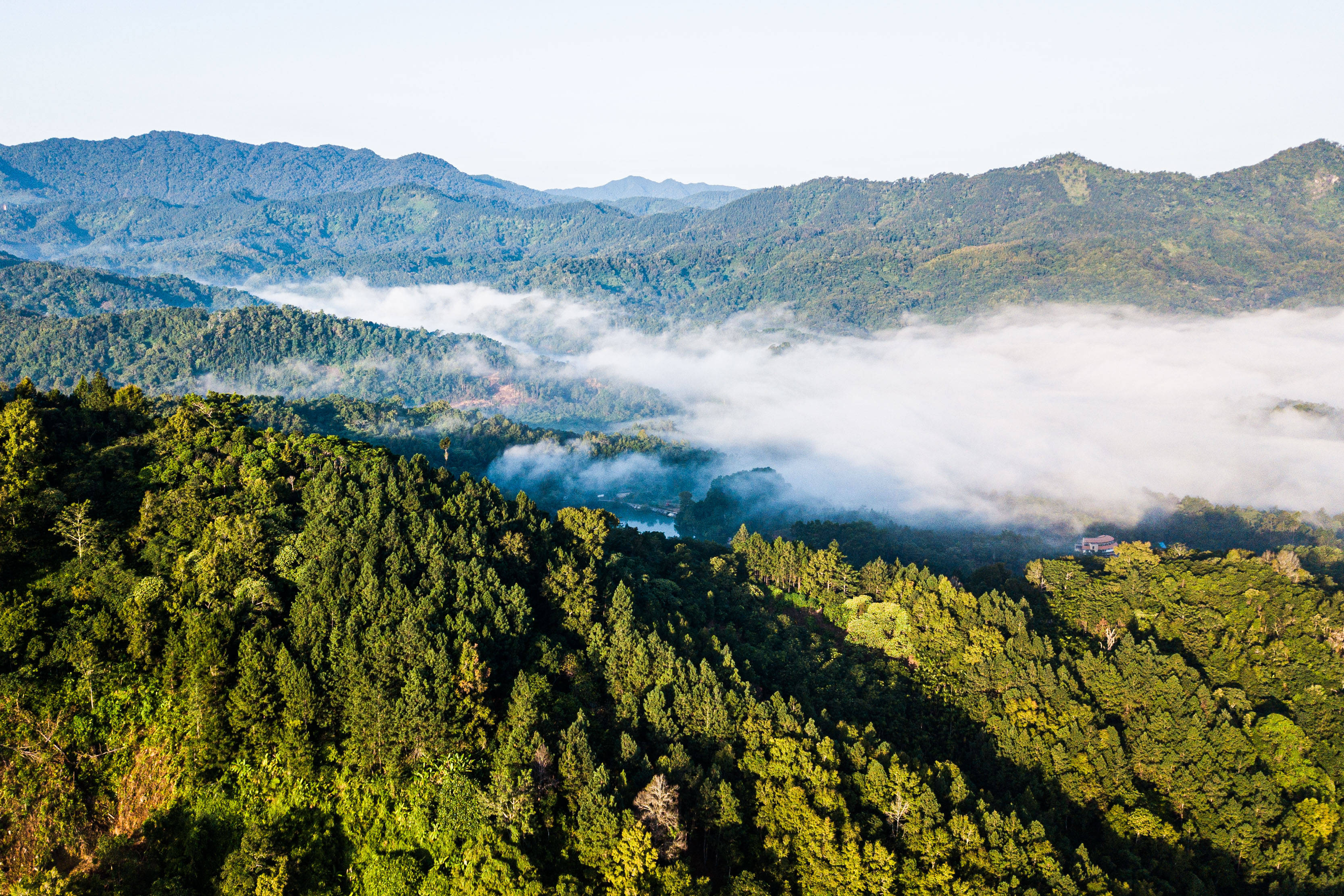 区这是2020年9月3日拍摄的海南热带雨林国家公园五指山景色