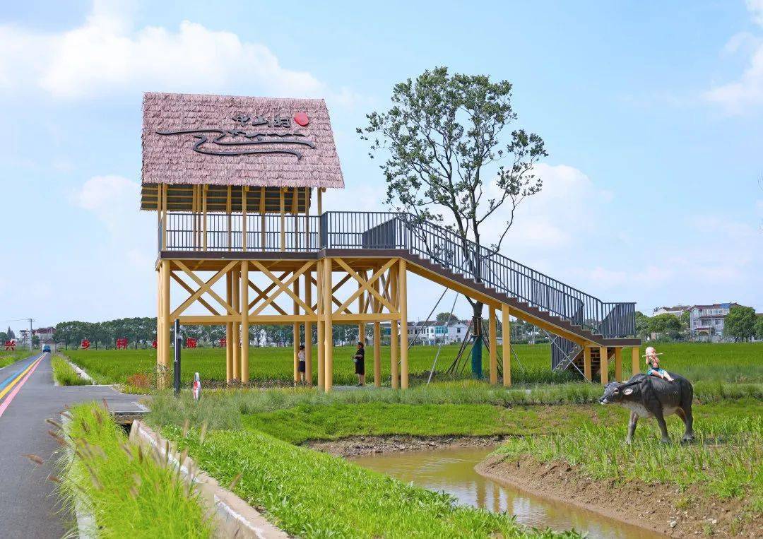 稻田画,共享菜园…观光亭,水上栈道,多彩田园路,快来一波乡村游吧